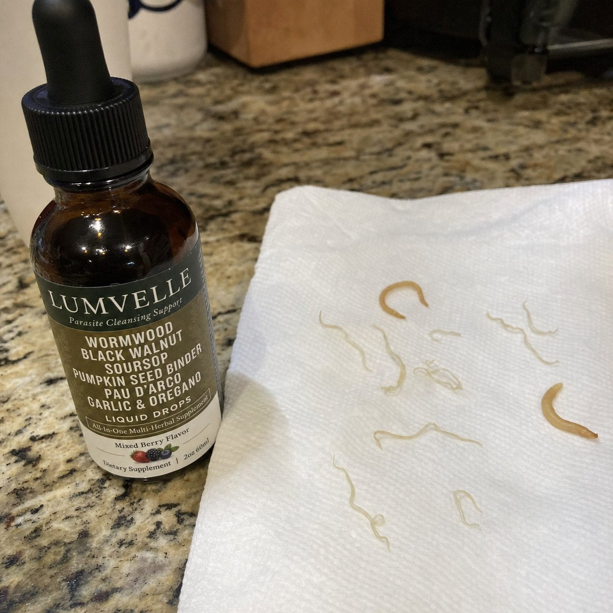 Wild-Harvested Wormwood Herbal Drops